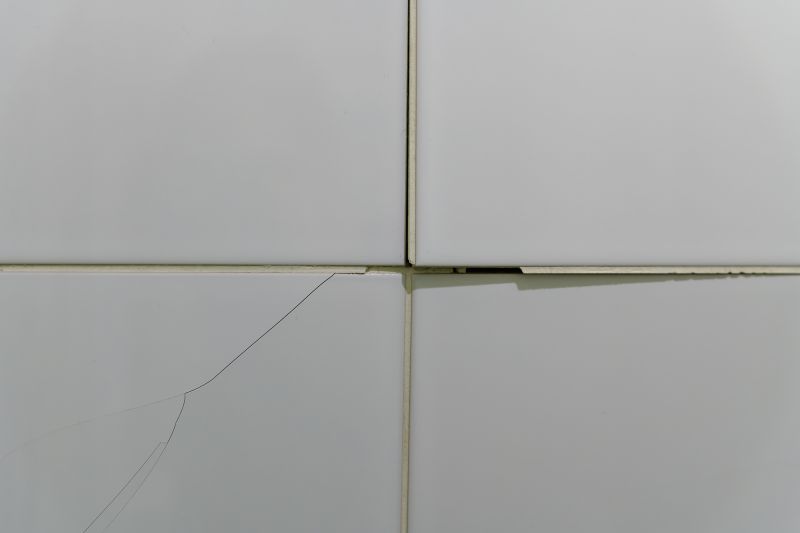 Tile Repair Process